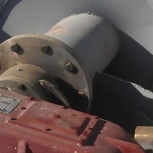 بوش ماسه شور